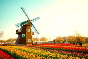السياحة في هولندا - شركة لنك الدولية افضل الخدمات السياحية في اوروبا